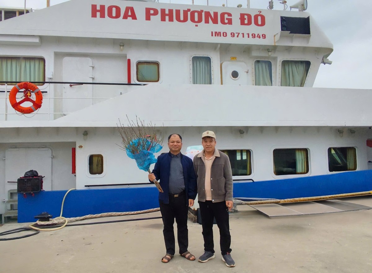 Những cành đào từ đất liền được các cán bộ, nhân viên mang ra đảo xa để đón Tết với đơn vị, nhân dân. Ảnh: Xuân Nha