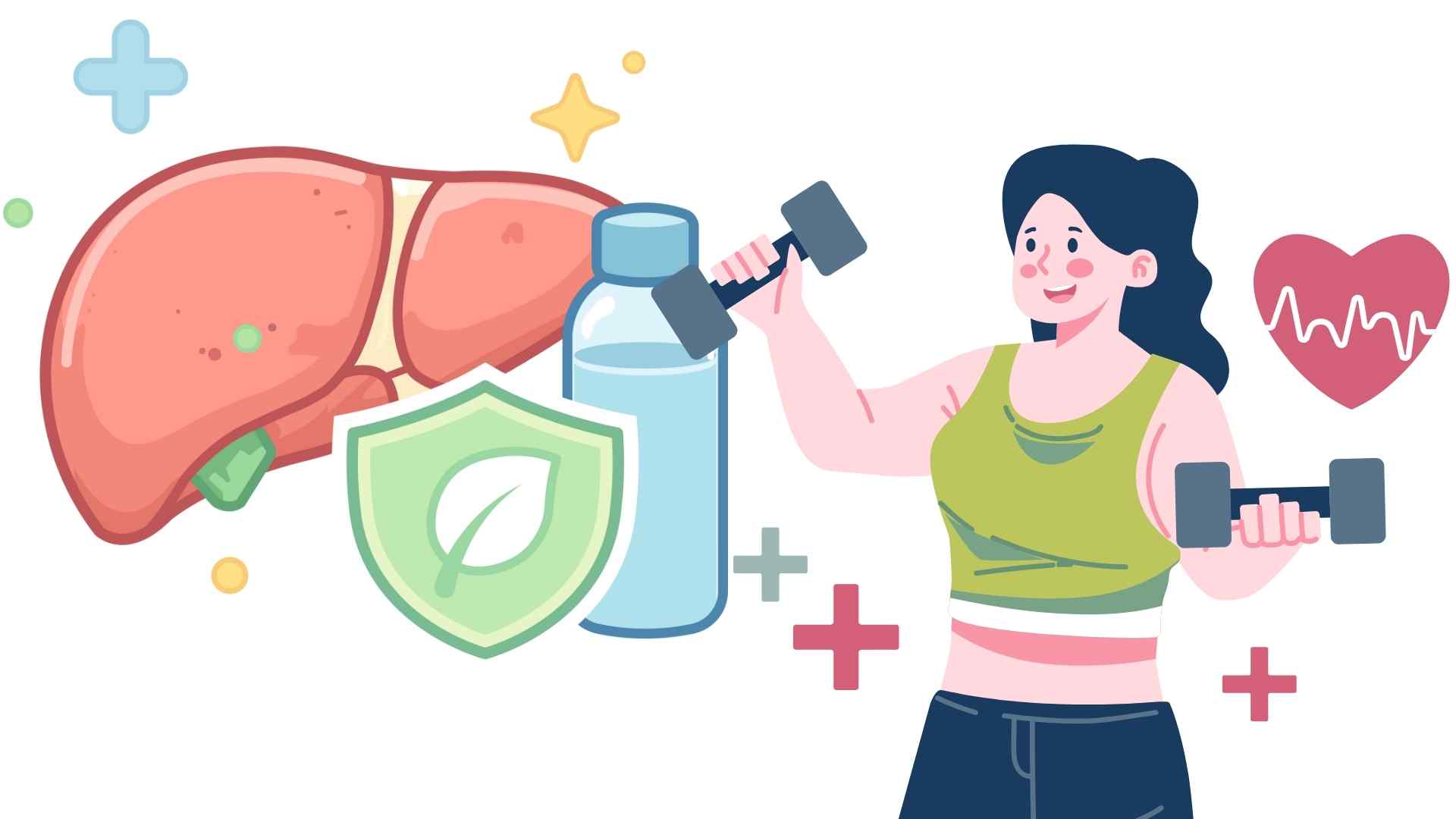 Stabilizing the pace of life helps the liver recover naturally. Graphics: Ha May