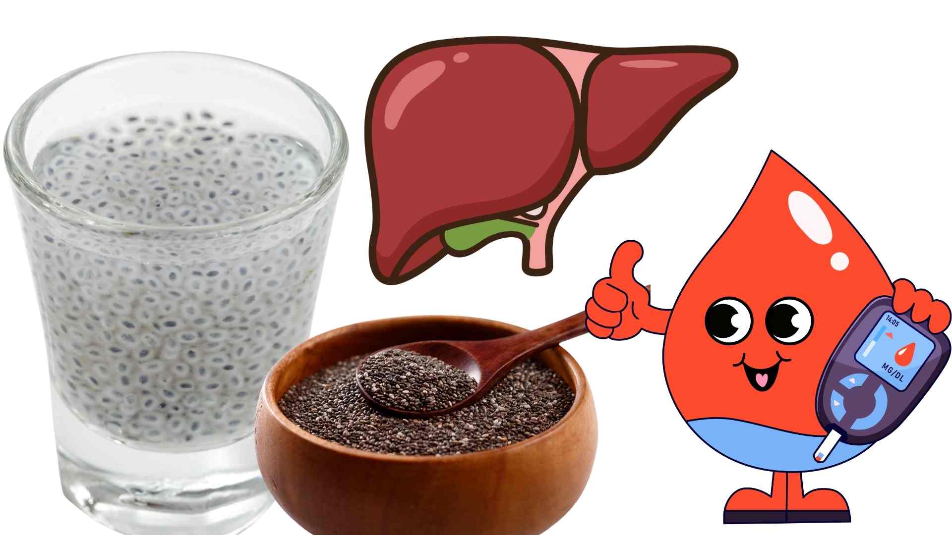 Basil seeds are considered assistants for the liver and blood sugar. Graphics: Ha May