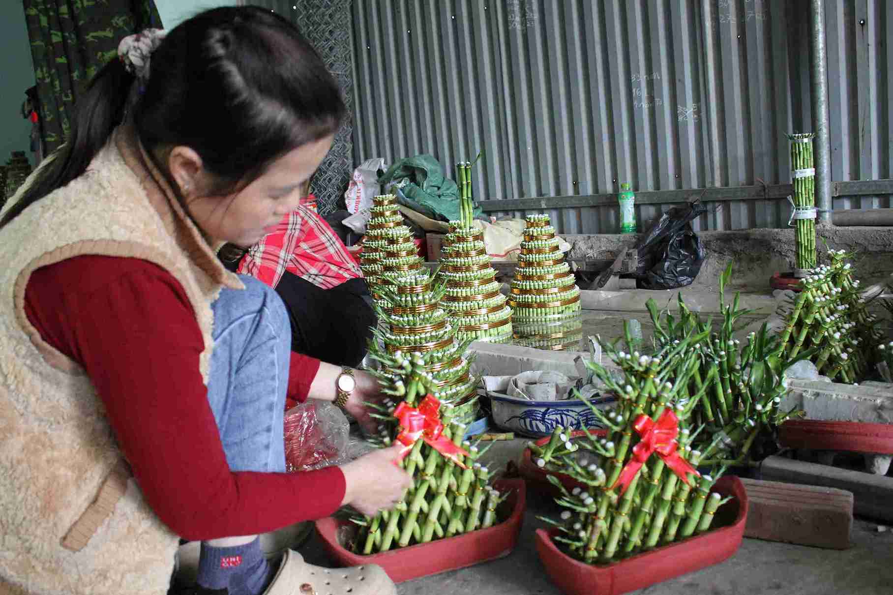 Bà Quyên tranh thủ hoàn thiện sản phẩm giữa cao điểm tiêu thụ cây phát lộc dịp Tết. Ảnh: Mai Hương