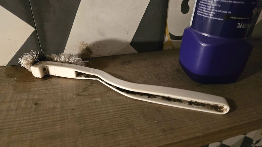 Bathroom toilet brushes need to be replaced periodically to ensure health. Photo: Tuan Dat