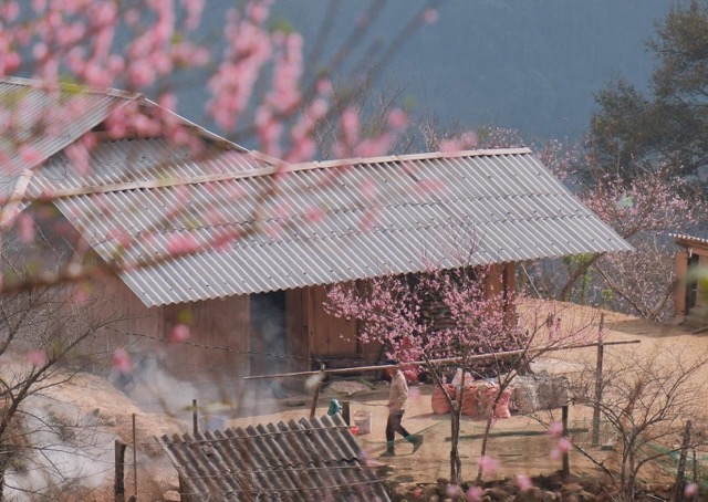 Le temps du Têt Nguyên Đán Bính Ngọ 2026 dans tout le pays devrait connaître de nombreuses fluctuations dans les jours précédant le Têt, avant le Têt Ông Công Ông Táo. Photo: Hữu Đạt