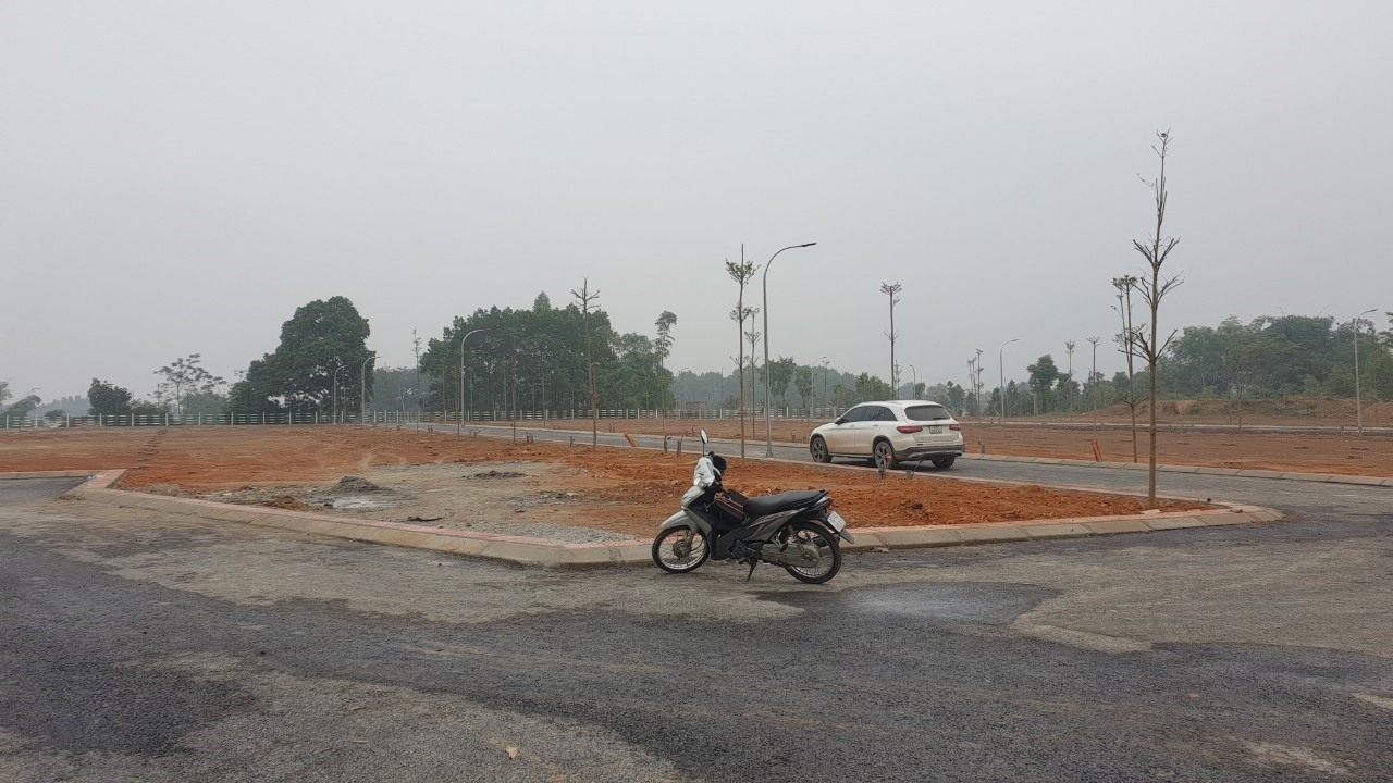 31 residential land plots in Tam Nong commune are about to be auctioned. Photo: Duy Dung