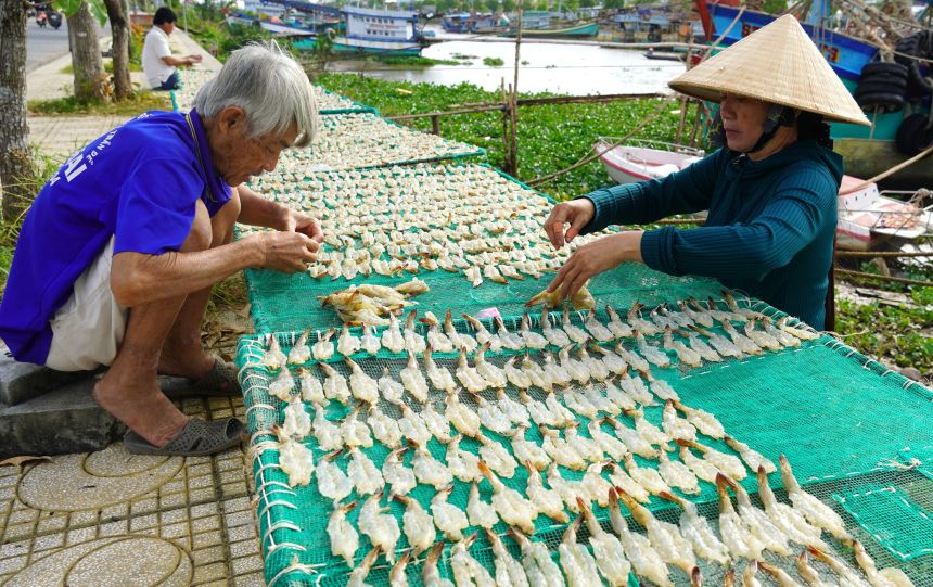 Người dân tranh thủ phơi khô phục vụ thị trường Tết, chủ yếu sản xuất theo đơn đặt hàng để hạn chế rủi ro giá cả. Ảnh: Phương Anh