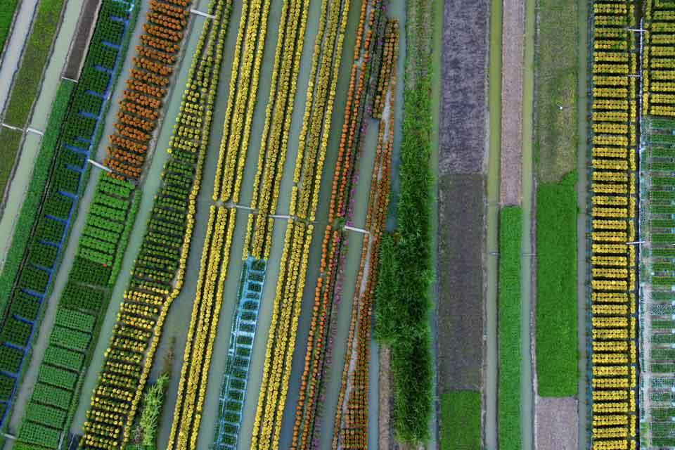 Làng hoa này là điểm đến lý tưởng cho những ai muốn tìm kiếm những khung hình nguyên bản, mộc mạc.