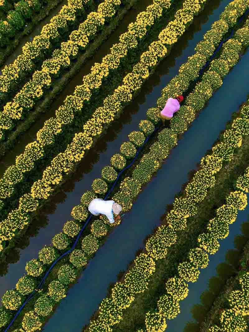 Với chị Khánh, hành trình ghé thăm Chợ Lách - Sa Đéc - Mỹ Phong không chỉ là chuyến thưởng ngoạn sắc màu, mà còn là dịp để trân trọng hơn đôi bàn tay khéo léo của người nông dân miền Tây.