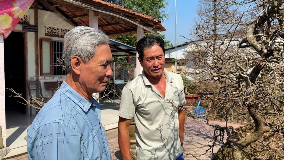 Phuoc Dinh apricot blossom village used to have more than 100 seasonal workers picking leaves during Tet. Photo: Hoang Loc