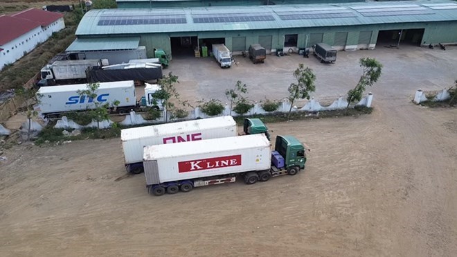 Customs Department requests quick customs clearance of food near Lunar New Year. Photo: Thanh Tuan