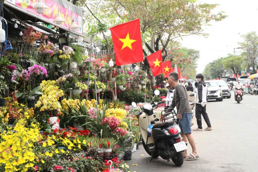 Bustling Da Nang Tet flower market 2026. Photo: Thanh Huyen