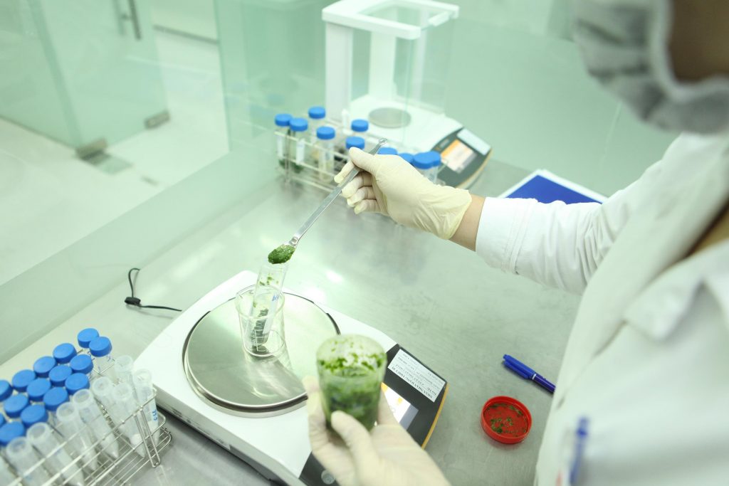 Food safety testing. Photo: VFA