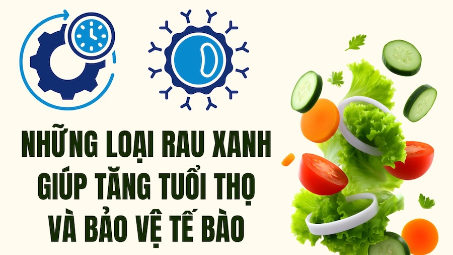 Green vegetables that help increase lifespan and protect cells