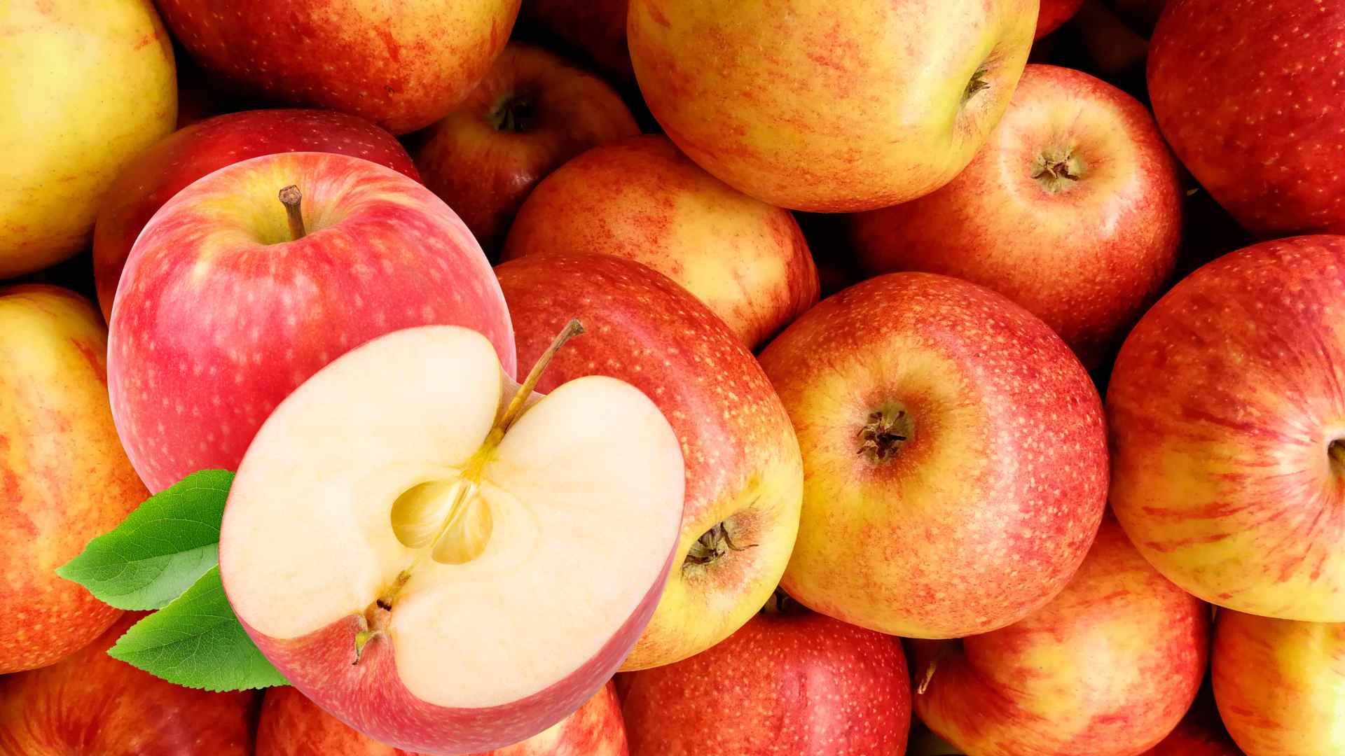 Apples contain high levels of soluble fiber, which helps reduce blood fat effectively. Graphic photo: Huong Son