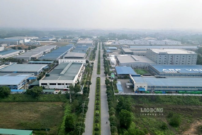 Đấu giá 121 ô đất tiền tỉ ở Tam Nông, Phú Thọ