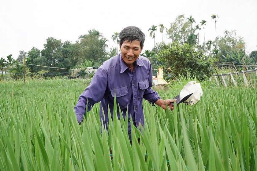 Flower village in Binh Dong village, An Phu commune is very famous in Quang Ngai. Photo: Vien Nguyen
