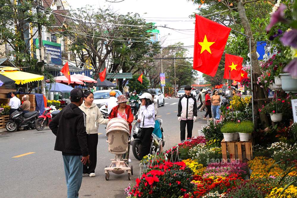Người dân Đà Nẵng nhộn nhịp mua sắm hoa, cây cảnh để trang hoàng nhà cửa, cơ quan, doanh nghiệp. Ảnh: Thanh Huyền
