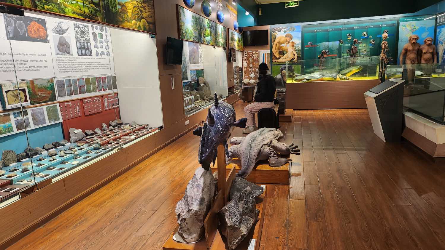 Inside the Vietnam National Museum of Nature. Photo: Khanh An