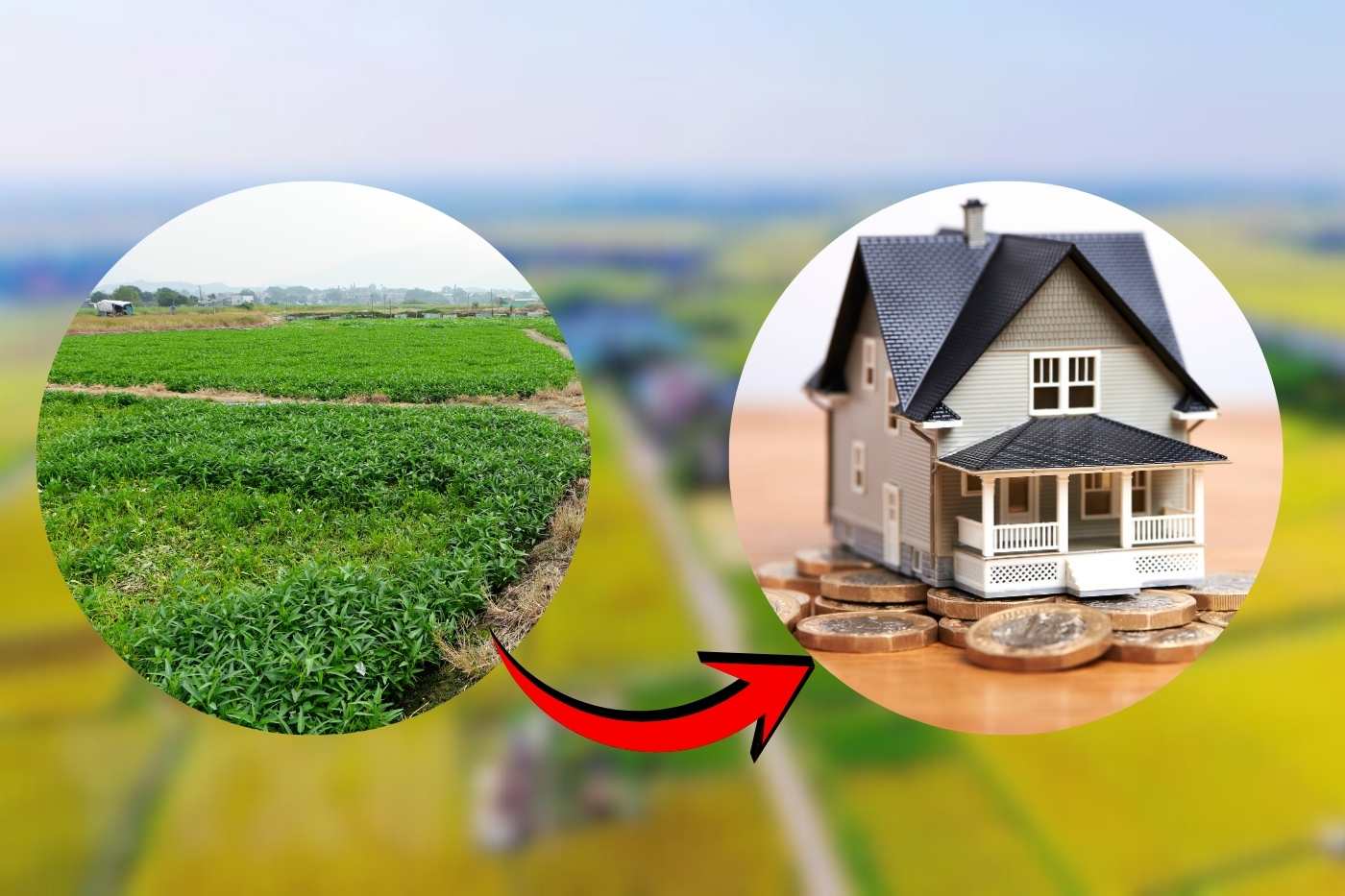 Decree 50/2026/ND-CP allows recalculating land use fees on residential land paid before 2026. Photo: Nhu Ha