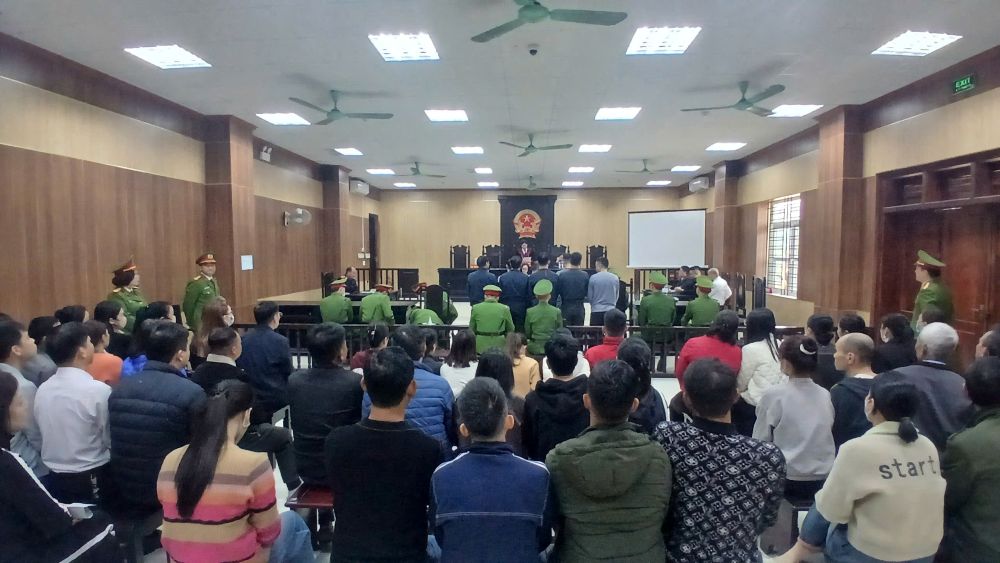 Phiên tòa xét xử ông trùm buôn gỗ Nguyễn Văn Mai và các