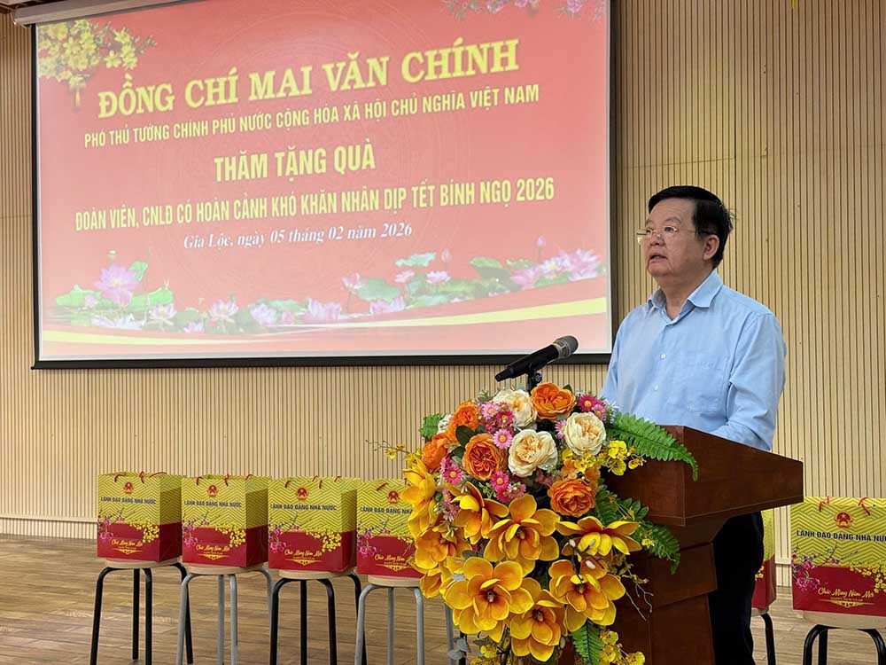Phó Thủ tướng Mai Văn Chính phát biểu tại chương trình. Ảnh: Lê Tâm