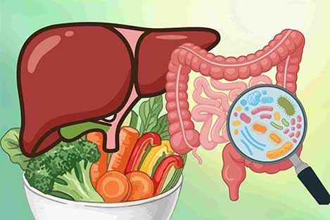 10 popular snacks good for the liver and intestines on a scale from 1 to 10