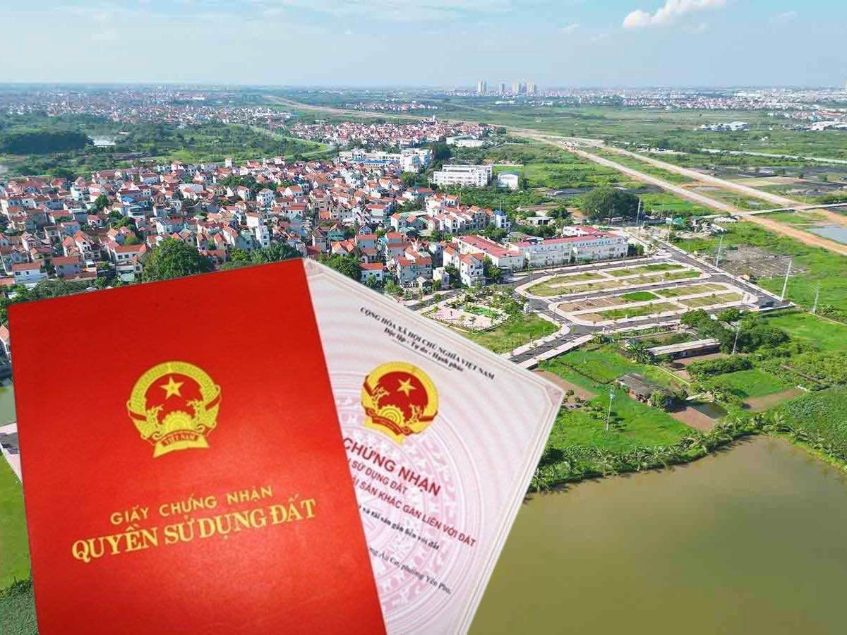 2 cases in Hanoi forced to remedy the consequences of land violations. Graphics: Vy Vy