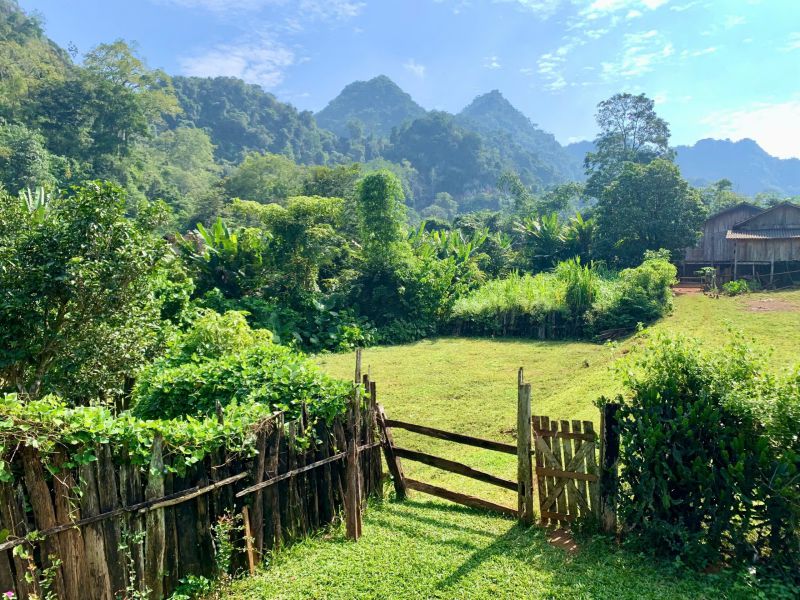 Khu vườn cỏ xanh và hàng rào gỗ mộc mạc. Ảnh: Châu Ngọc