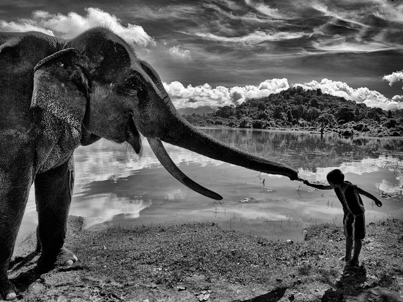 Cái chạm của niềm tin. Ảnh: Việt Văn