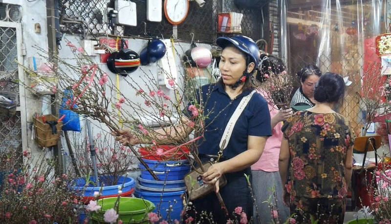El mercado de flores de Tet comienza temprano con mini melocotoneros en Ciudad Ho Chi Minh. Foto: Thai Bao