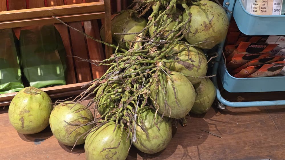 Let's refer to a few tips to choose fresh, delicious, and sweet Siamese coconuts. Photo: Tuan Dat
