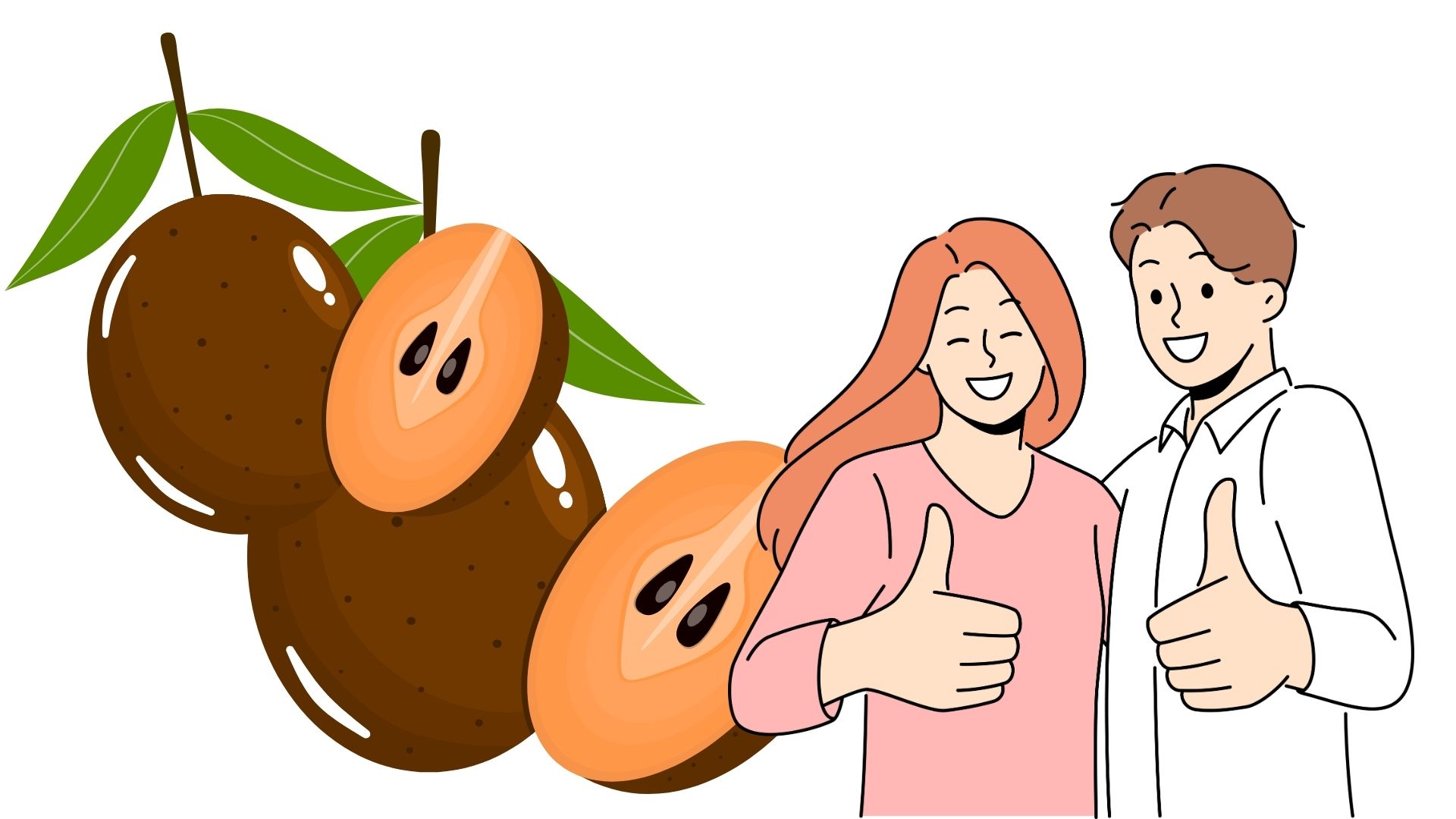 Sapodilla fruit brings many health benefits. Graphics: Thanh Thanh