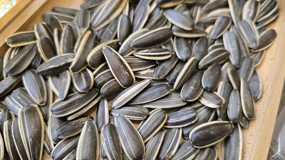 Groups of people who should not eat too many sunflower seeds will harm their health. Photo: Tuan Dat
