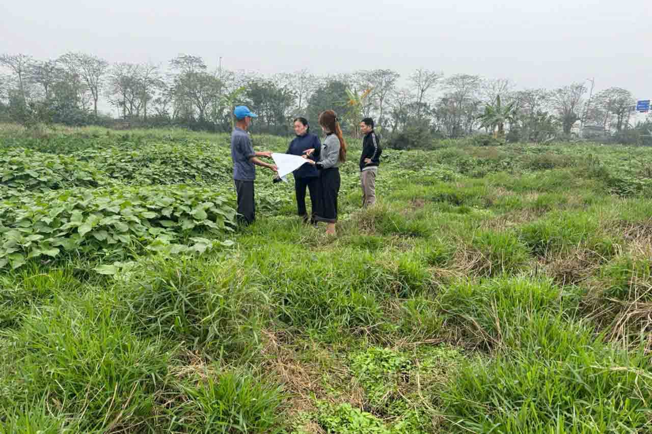 Quoc Oai commune (Hanoi) has conducted forced inventory for a household that does not comply. Photo: TTĐT Quoc Oai commune