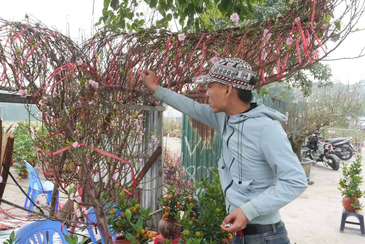 Thời tiết khá thuận lợi cho cây cảnh Tết bung nở khoe sắc nhưng người bán vẫn trông chờ khách mua. Ảnh: Thanh Bình 