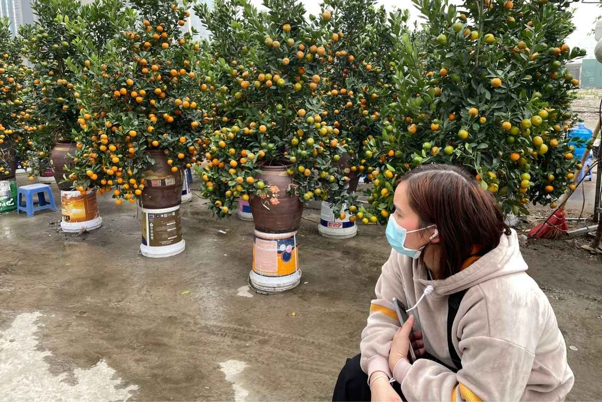 Many small traders believe that this year ornamental plants are selling slowly during Tet, people mainly stop by to admire and not boldly spend money to buy. Photo: Thanh Binh