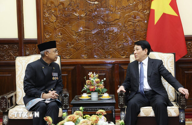 President Luong Cuong receives Ambassador of the Republic of Indonesia Adam Mulawarman Tugio to present his credentials to take office in Vietnam. Photo: VNA