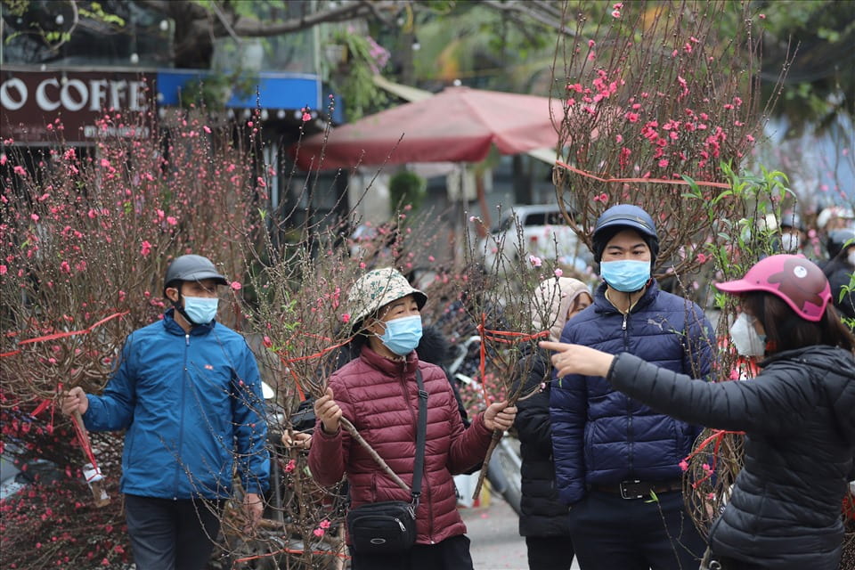 The weather forecast for the Binh Ngo Lunar New Year in the North is quite favorable for spring travel activities. Photo: Pham Dong
