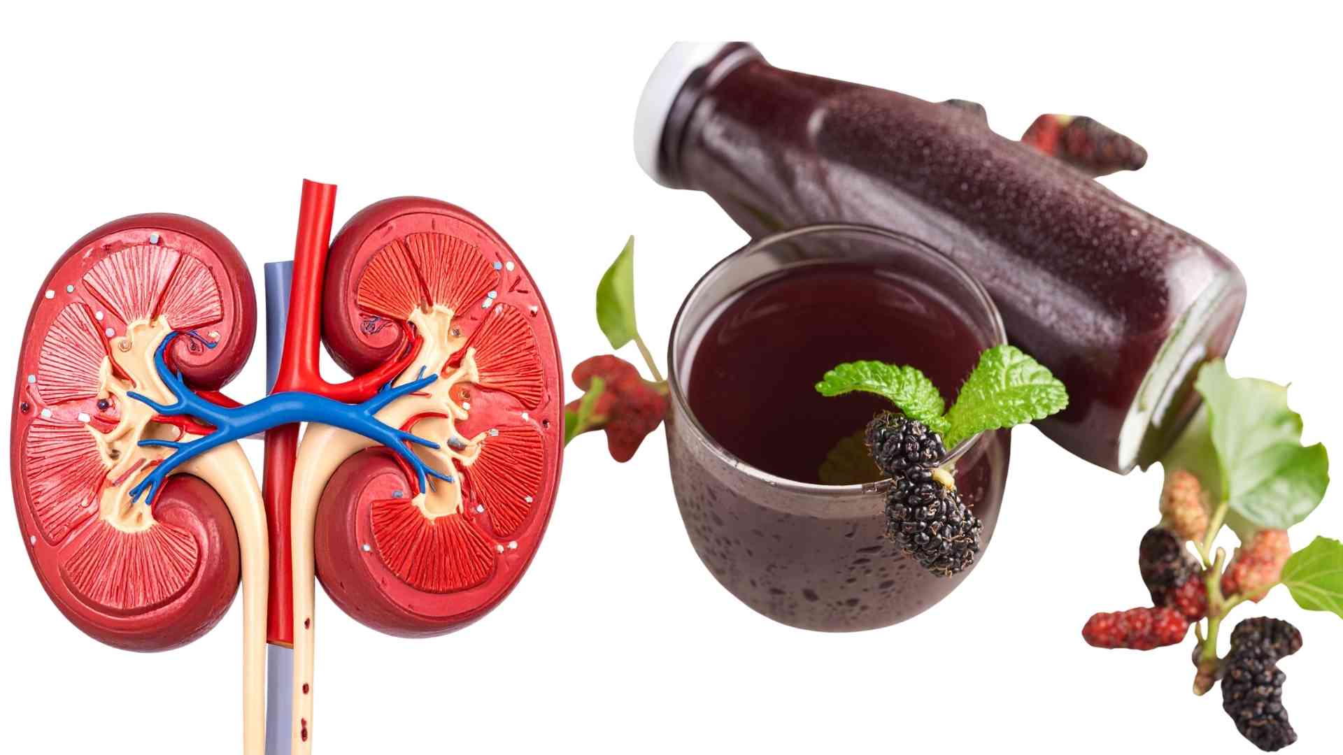 Dried mulberry helps nourish liver and kidneys. Graphics: Ha May
