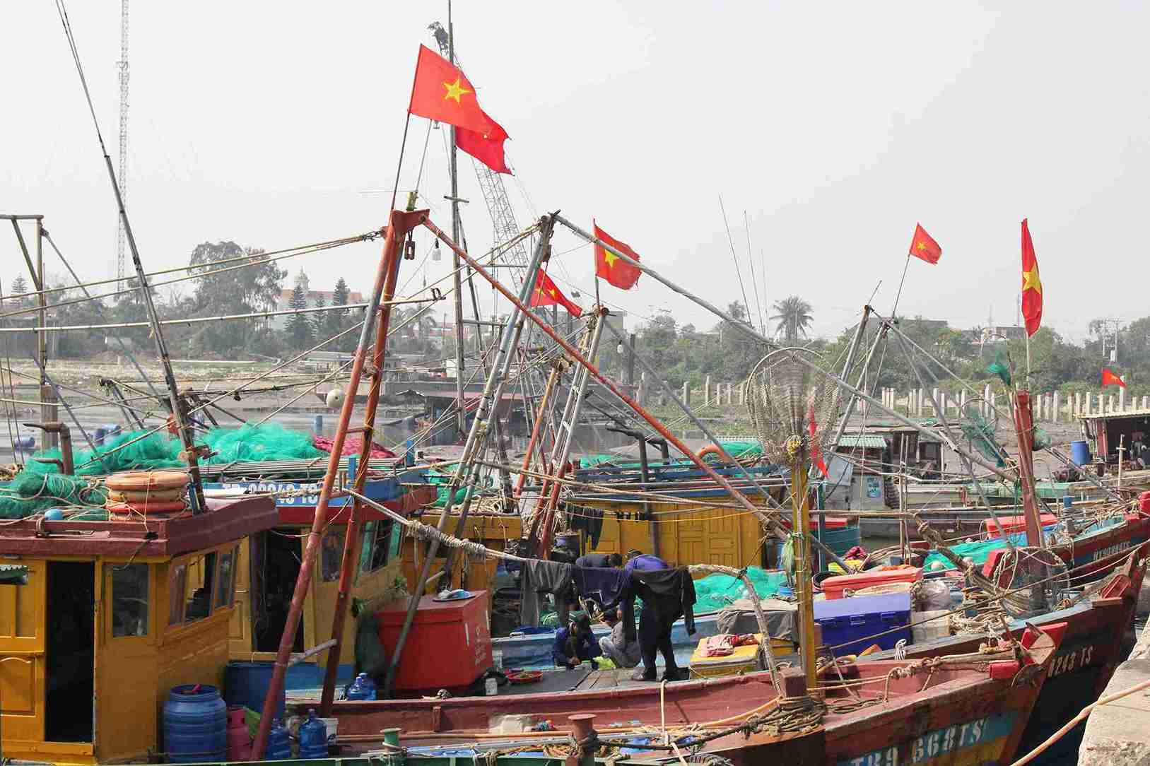 Ships after the last sea trip of the year successively dock and anchor safely at Diem Dien Seaport. Photo: Mai Huong