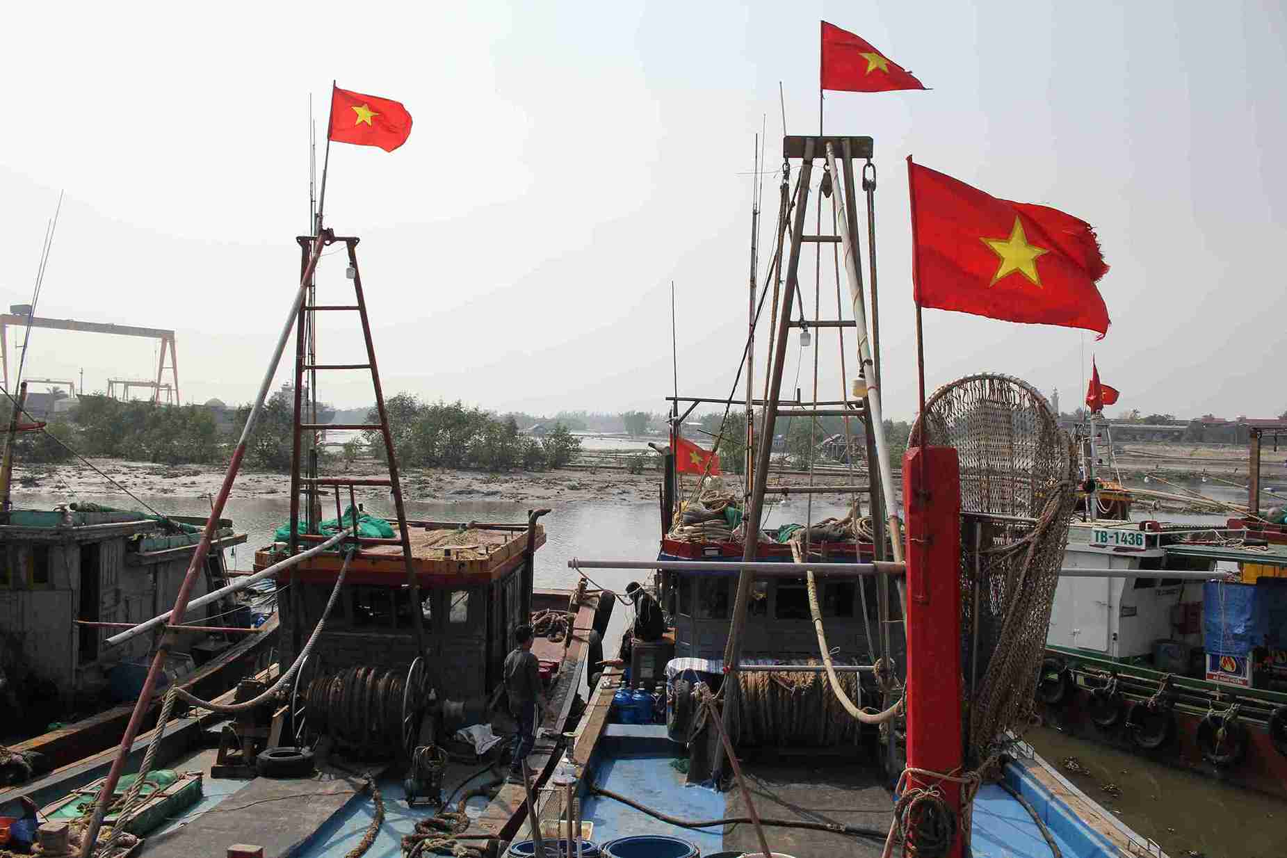 Những con tàu cá được ngư dân dọn dẹp sạch sẽ, neo đậu an toàn. Ảnh: Mai Hương