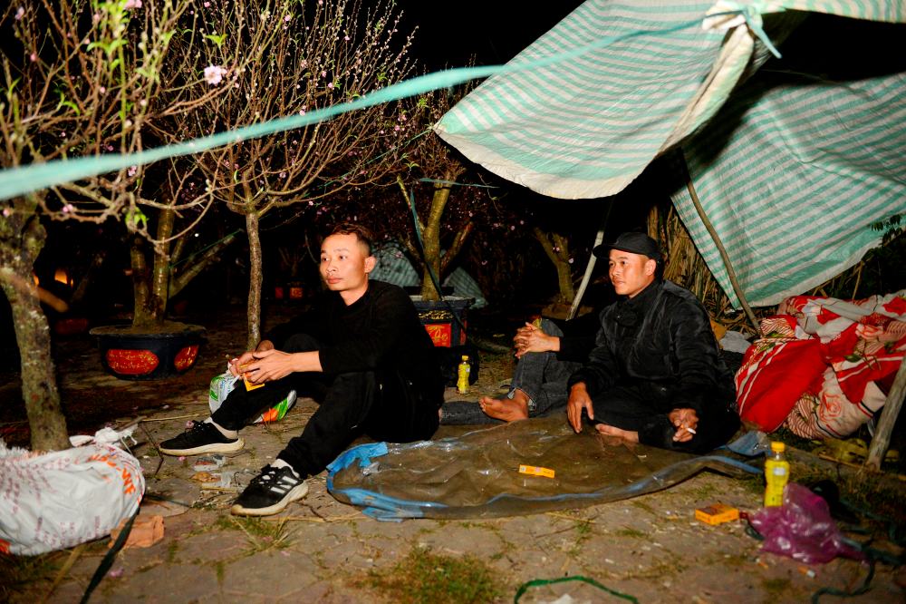 Các tiểu thương dựng lều lán canh đào, quất xuyên đêm trên các phố bán hoa Tết ở Thanh Hóa. Ảnh: Quách Du