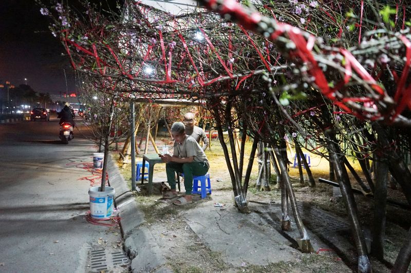 Theo nhiều tiểu thương, thị trường mua bán đào quất năm nay khá ảm đạm so với những năm trước. Ảnh: Quách Du