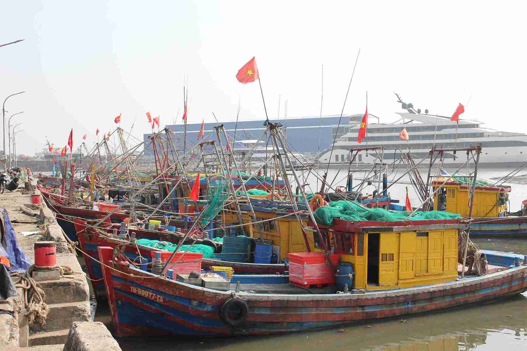 Fishing boats return to wharves to anchor neatly, closing the year-end sea trip of fisherman Thai Thuy. Photo: Mai Huong
