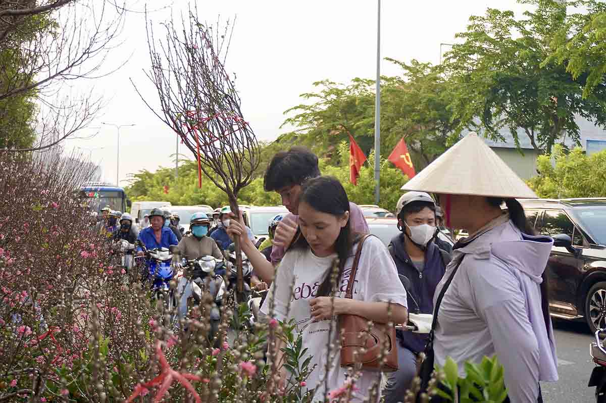Northern huyền peach blossoms landing in Ho Chi Minh City warm the hearts of people celebrating Tet away from home. Photo: Nhu Quynh