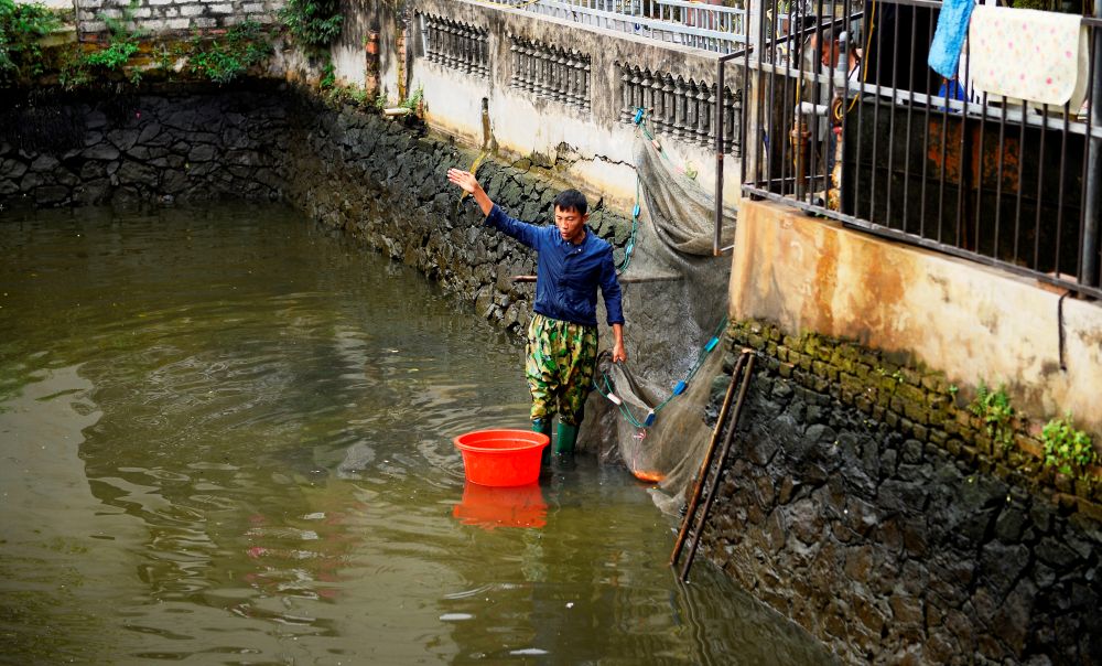 Tại đây, không khí lao động diễn ra khẩn trương. Từ sáng sớm, nhiều hộ dân đã đưa máy bơm cạn ao, kéo lưới thu hoạch cá và bán cho thương lái, phục vụ thị trường Tết ông Công ông Táo. Ảnh: Quách Du
