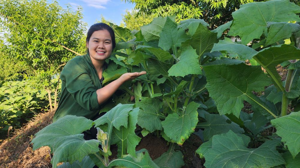 Những nông sản địa phương của Mai Tây Bắc được chị Mai khéo léo quảng bá. Ảnh: Nhân vật cung cấp
