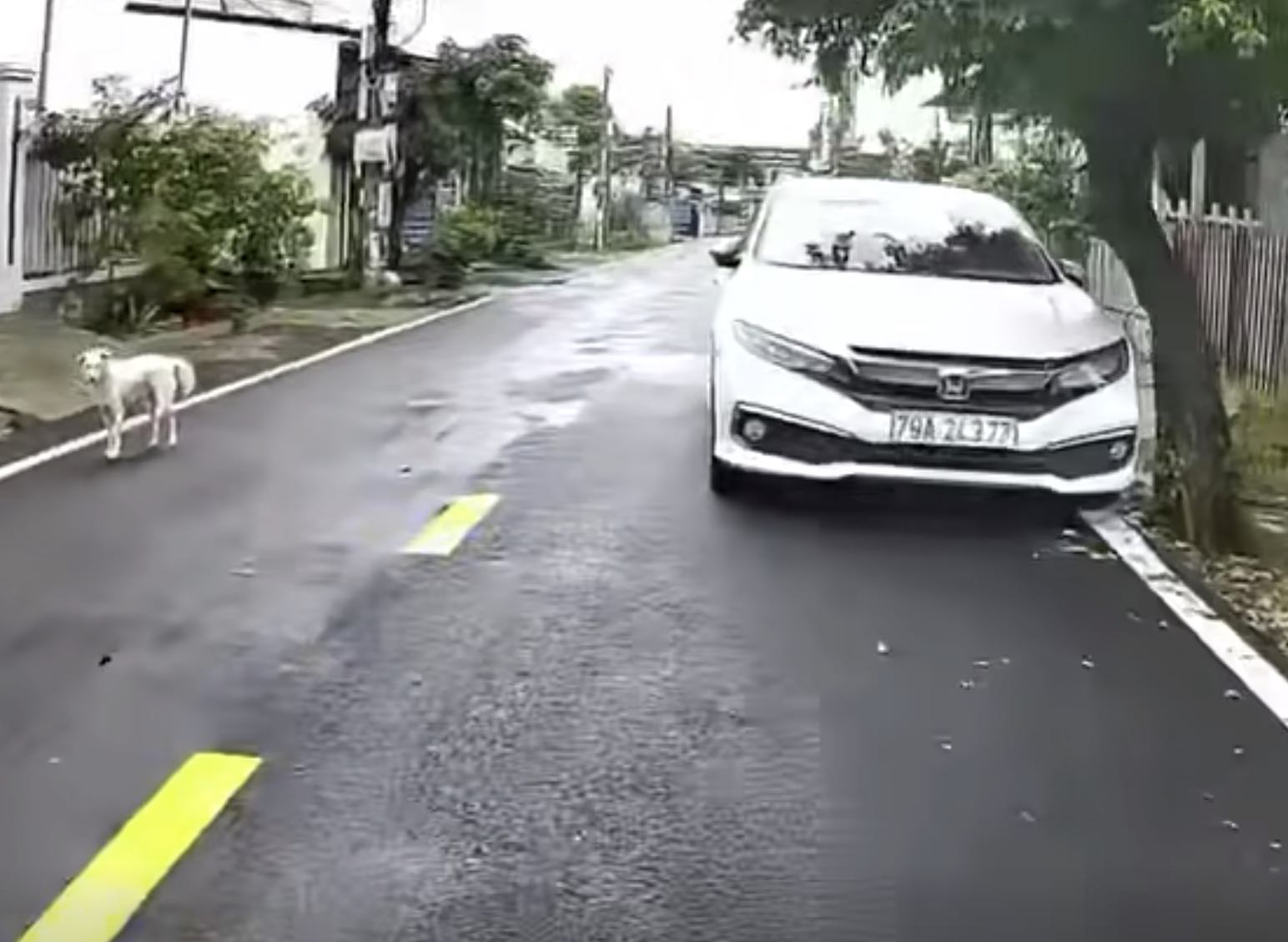 Traffic police have handled drivers parking cars in the opposite direction after receiving people's feedback through the VneTraffic app. Photo: Traffic Police Department