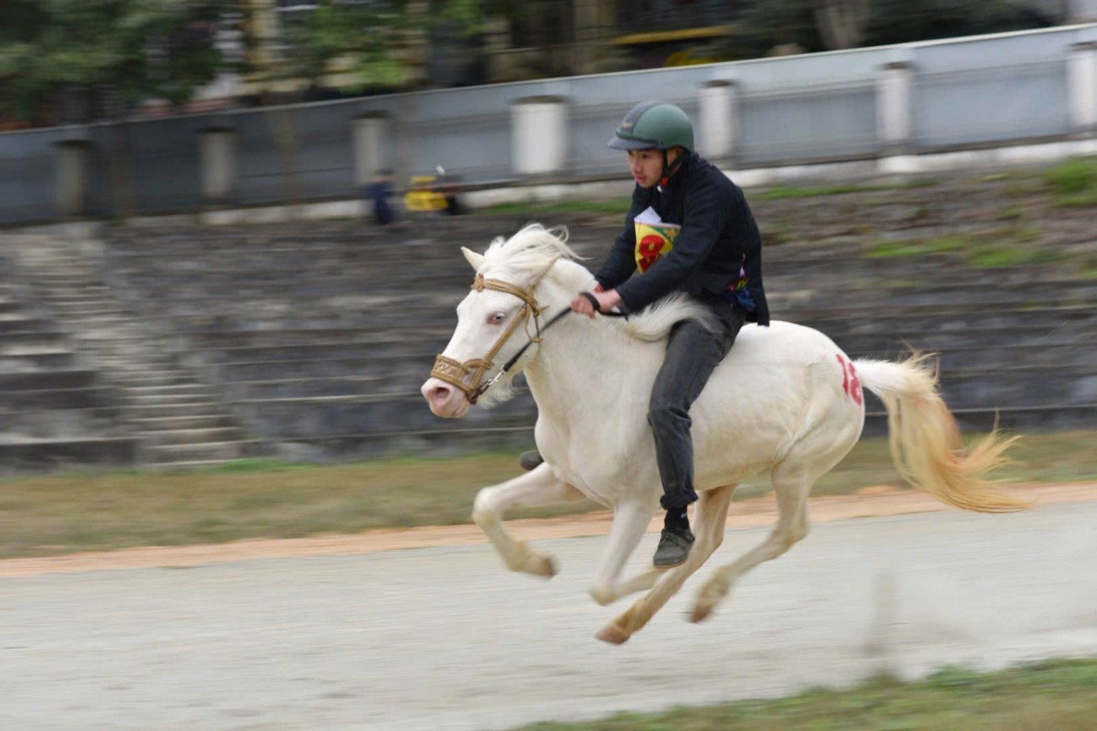 Racehorses in Bac Ha are not equipped with saddles, jockeys sit on their backs and use their feet to accelerate according to traditional riding techniques. Photo: Ky Lam