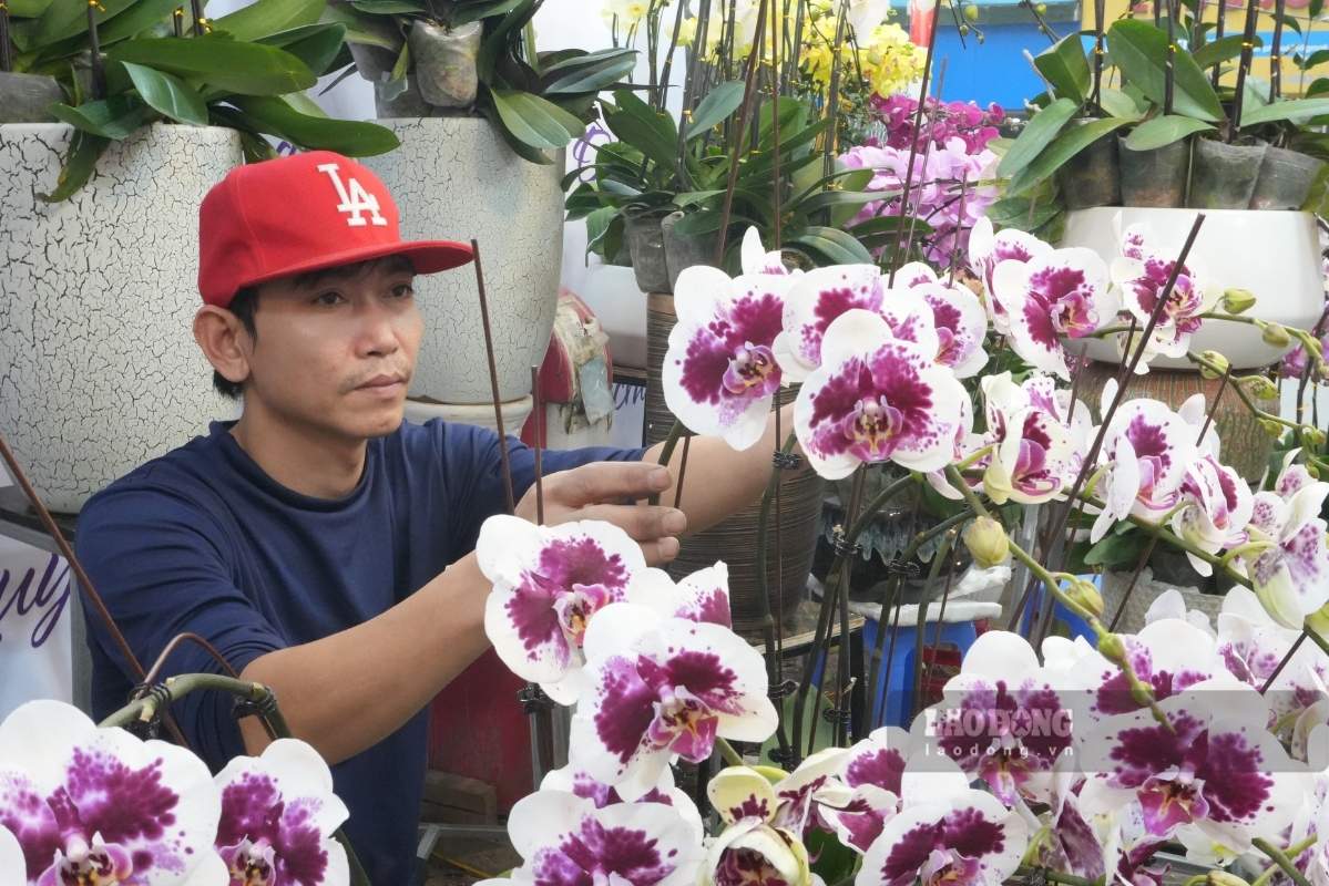 Anh Vũ Duy Tú lên dáng cho từng nhành hoa lan, việc cắm hoa vừa đòi hỏi sức mạnh vừa cần có sự khéo léo, tinh ý.