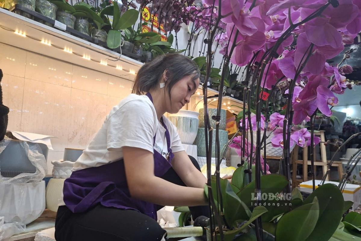 Để trở thành một thợ cắm hoa chuyên nghiệp, không chỉ cần có năng khiếu mà chị Ngân phải tham gia các lớp học đào tạo nhằm nâng cao tay nghề. Ảnh: Thanh Bình 