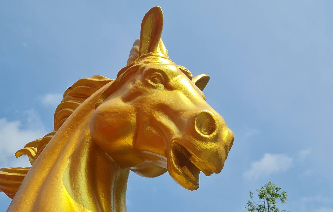 Cận cảnh phần đầu của linh vật ngựa tại phường Bạc Liêu, tỉnh Cà Mau. Ảnh: Nhật Hồ.